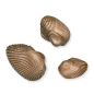 Preview: Verzierung »Muscheln« aus Bronze Preview: Verzierung »Muscheln« aus Bronze