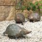 Preview: Gartenskulptur »Igel« oder im Set Preview: Gartenskulptur »Igel« oder im Set
