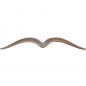 Preview: Bronzeskulptur »Vogel im Flug«, Kunstgiesserei Strassacker, 4 x 35 x 5 cm Preview: Bronzeskulptur »Vogel im Flug«, Kunstgiesserei Strassacker, 4 x 35 x 5 cm