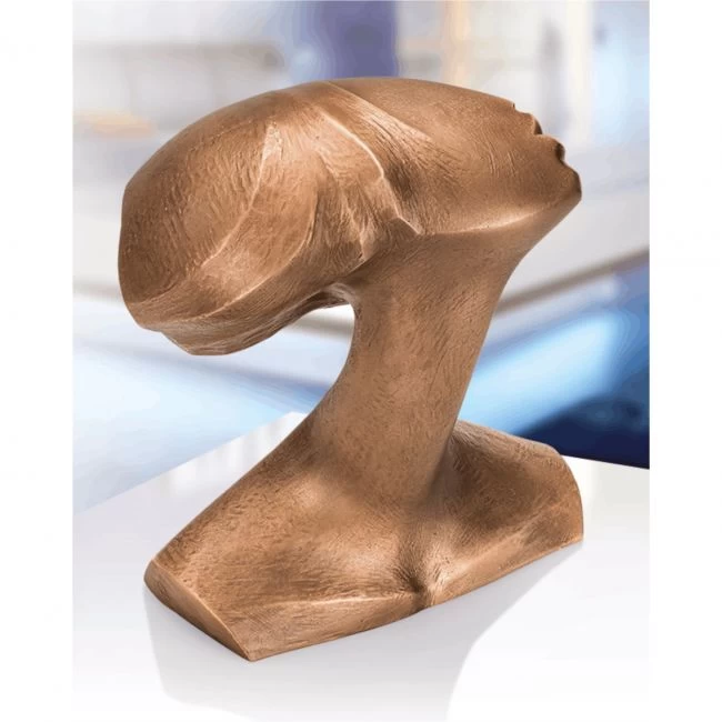 Bronzebüste »Frauenkopf« Pepi Pescollderungg