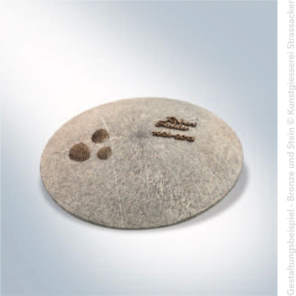Verzierung »Muscheln« im Set Verzierung »Muscheln« im Set