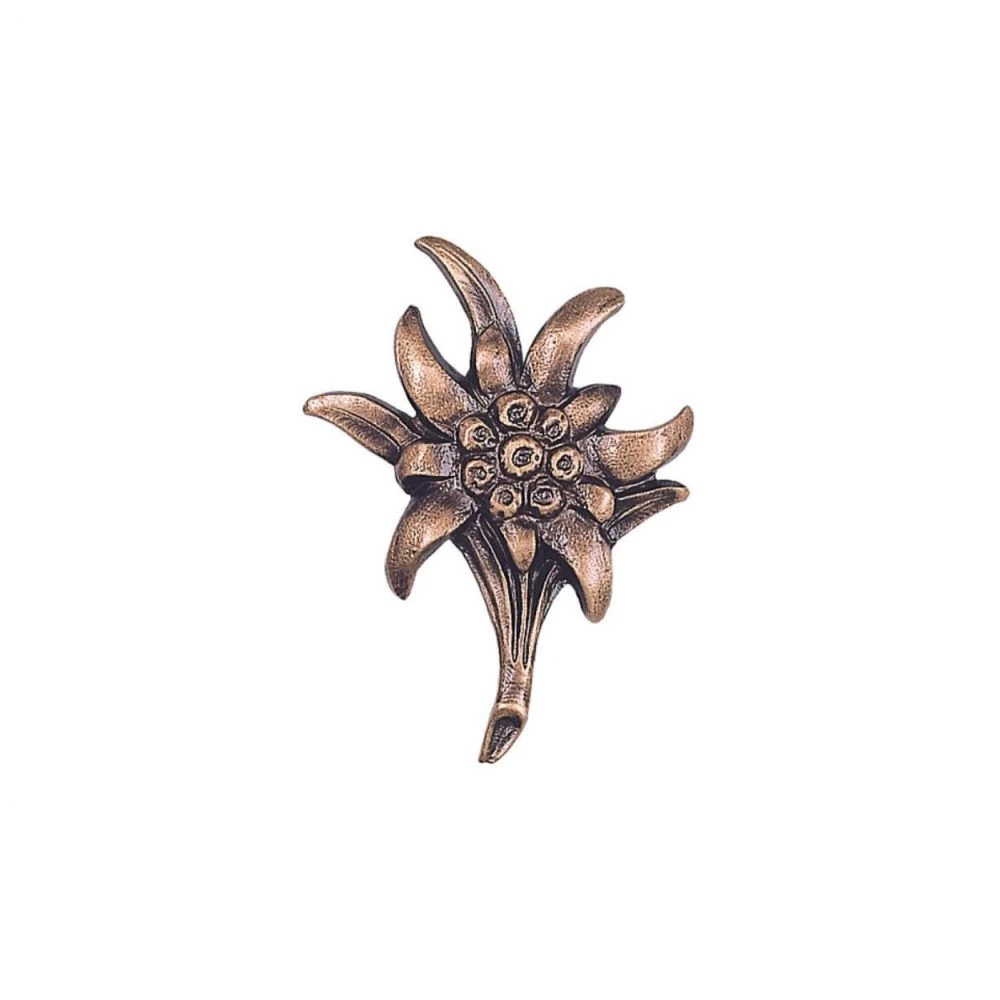 Kleines Symbol »Edelweiß«, Bronze, Kunstgiesserei Strassacker, 7 x 5 x 1 cm Kleines Symbol »Edelweiß«, Bronze, Kunstgiesserei Strassacker, 7 x 5 x 1 cm