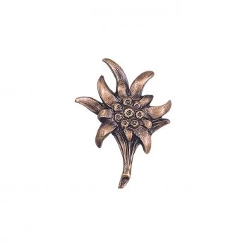Kleines Symbol »Edelweiß« Bronze